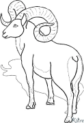 mouflon Páxinas Para Colorear Imprimibles